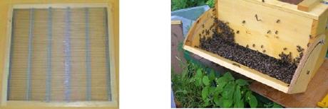 bienengitter und feglingkasten